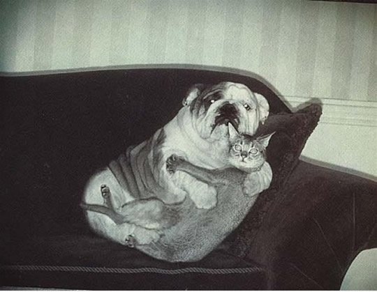 Romeo und Julia