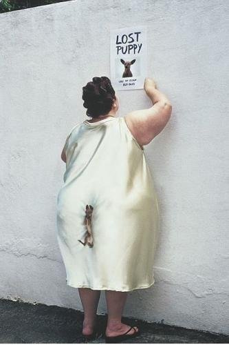 Verlorene Welpen