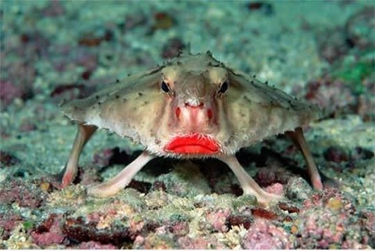 Mit Lippenstift
