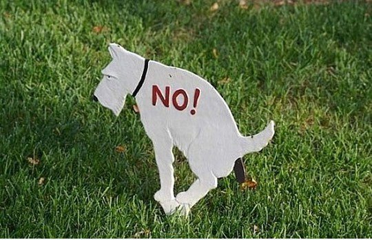 Registrieren für Hunde
