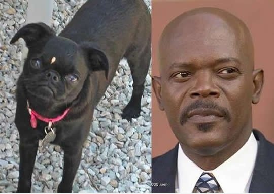 Twins