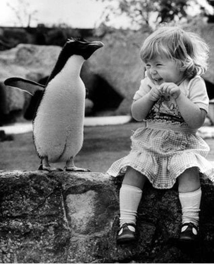 Cute!