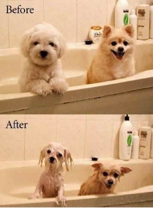 Before and After