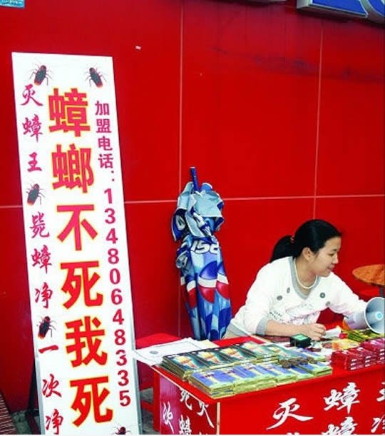 至 牛 广告: 蟑螂 不死 我 死
