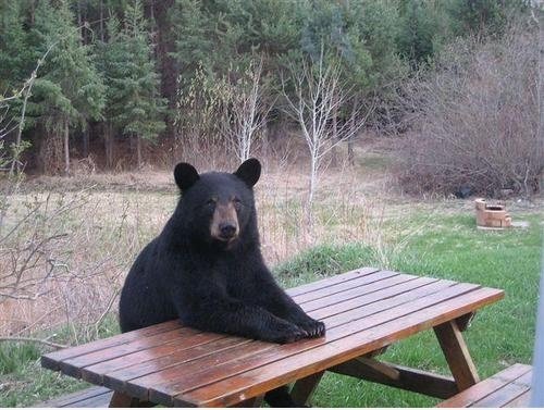 Waiting for what ...?