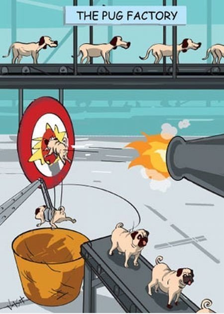 Der Mops Fabrik