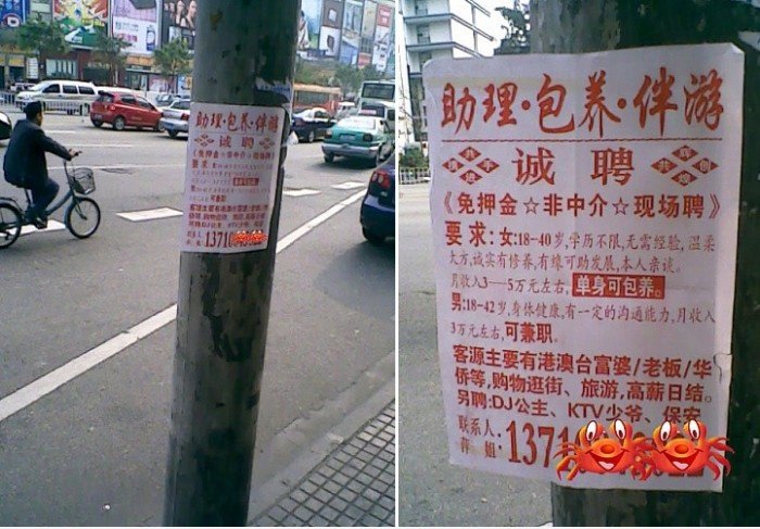 祖国 真 开放