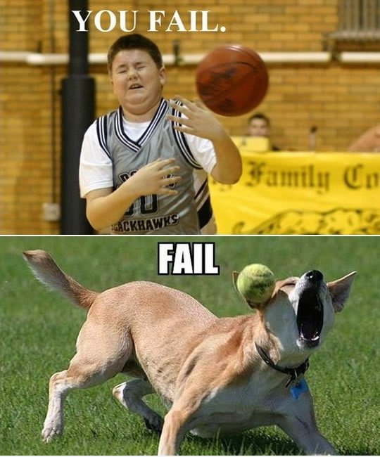 Fangen Fail-