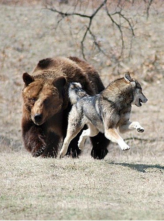 RUN
