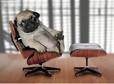 Gute Boss ~