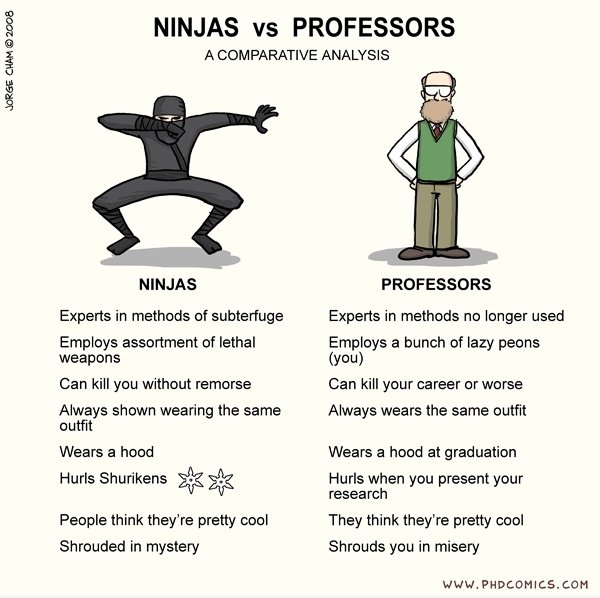 Ninjas vs Professoren