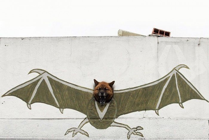 Bat Dog