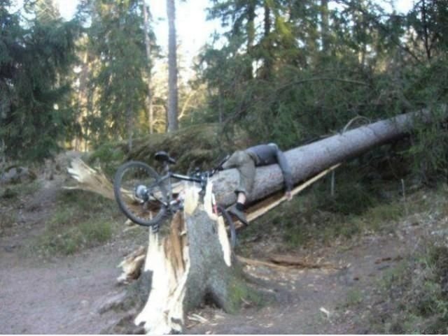 Reiten Fail-