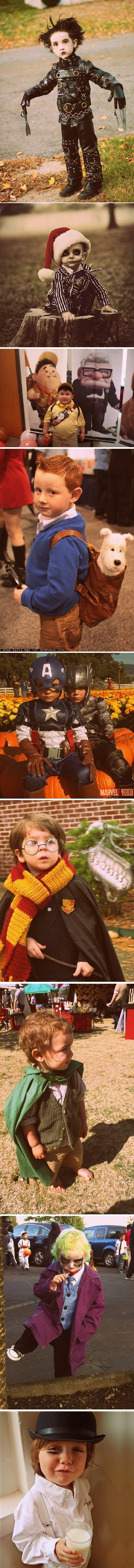 die lustigsten bilder im web