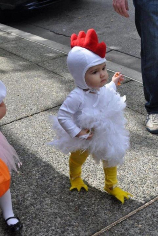 crazy chicken - like a boss