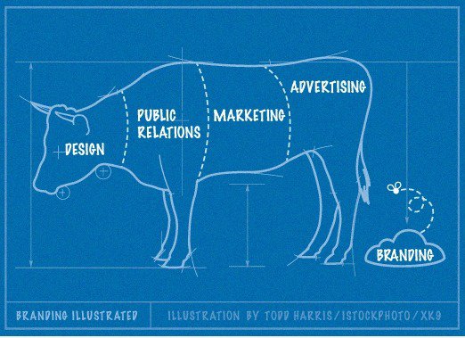 Branding Illustrated