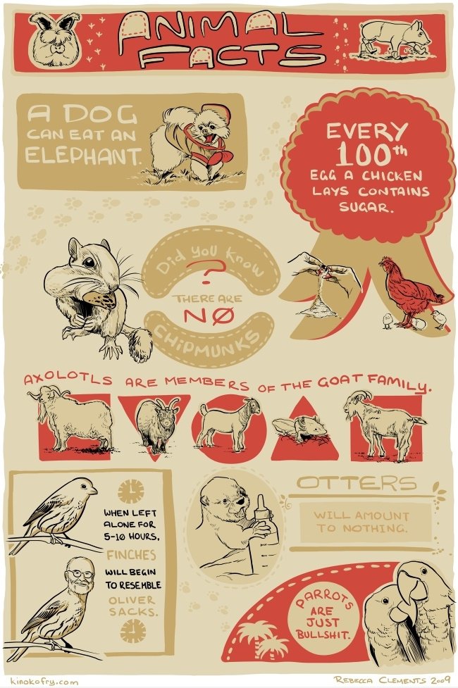 Animal Facts