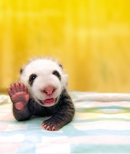 Hallo alle zusammen!
