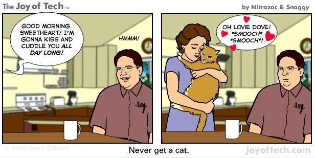 Nie eine Katze