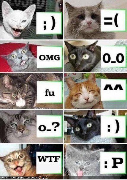 Emoticat