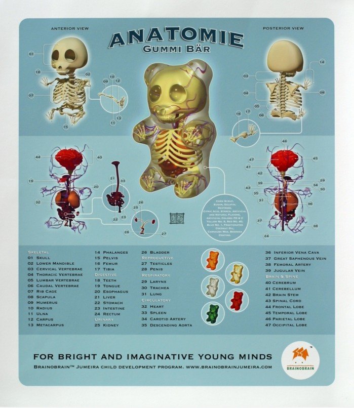 Anatomy of Gummibärchen