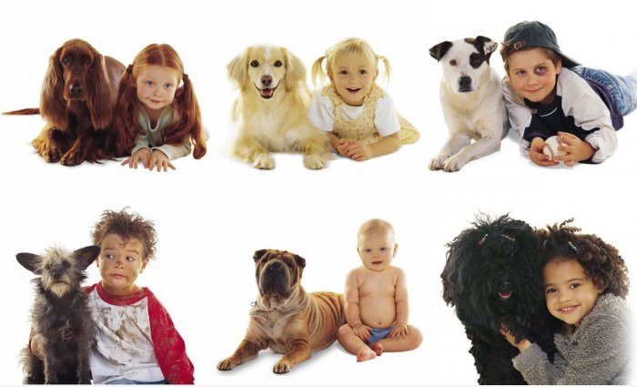 Kinder und Hunde
