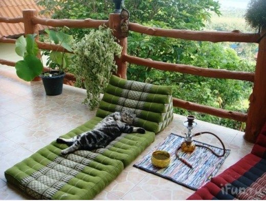 Siesta