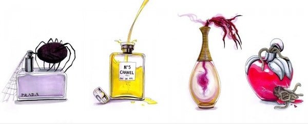 Smell chiq