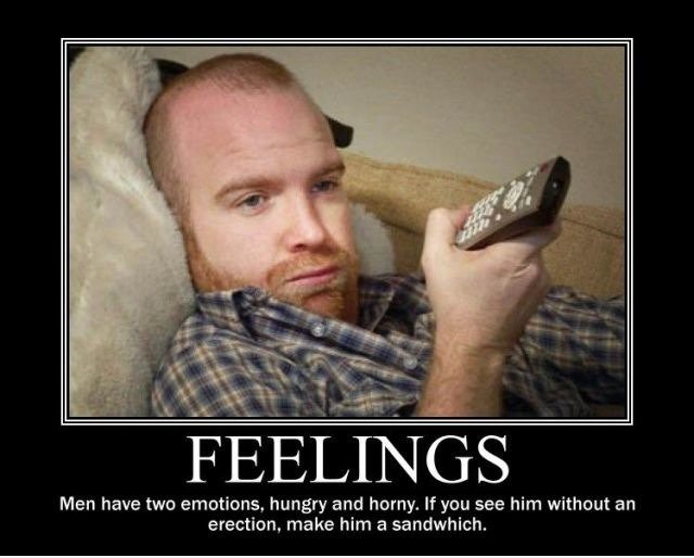 Feelings