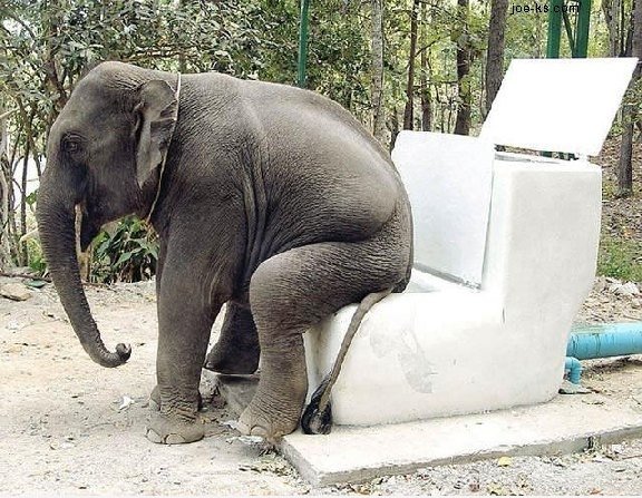 Toilet Zeit