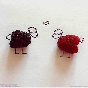Nette Himbeeren