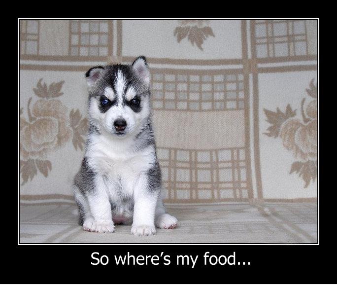 Also ..