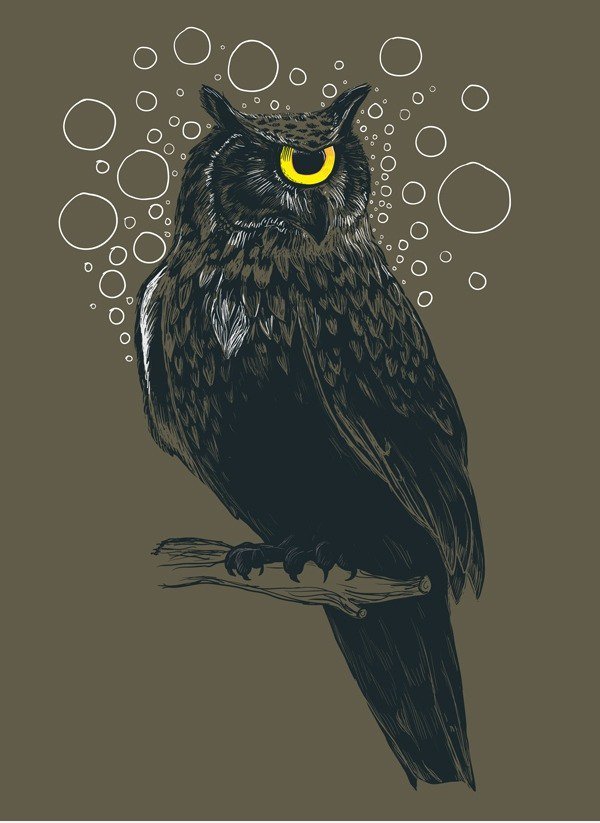 Cyclops owl tshirt