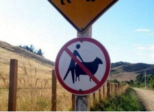 Sind Sie degeneriert?