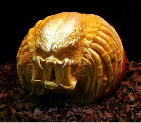 Predator Kürbis