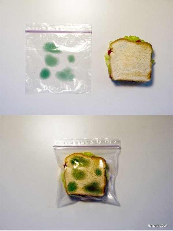 Coole Sandwich-Beutel
