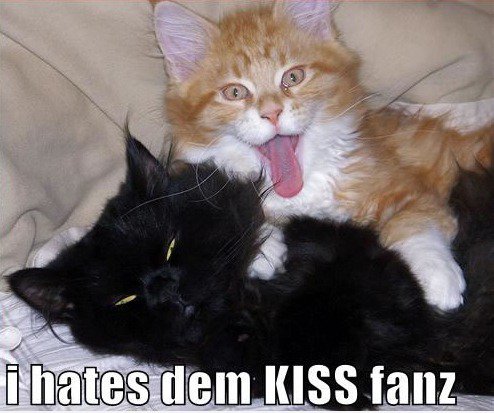 Hates Dem. KISS fanz