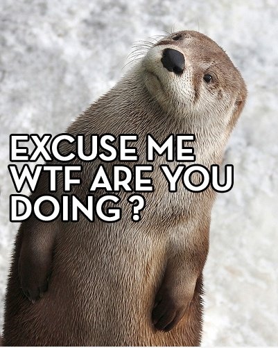 Excuse Me ...