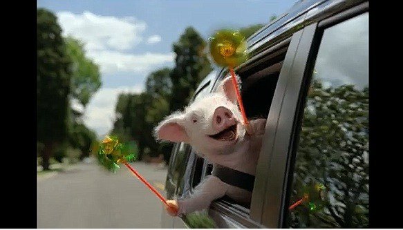 Lil 'piggy DID gehen wee wee