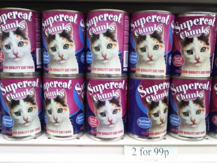Saddest Katzenfutter Katze