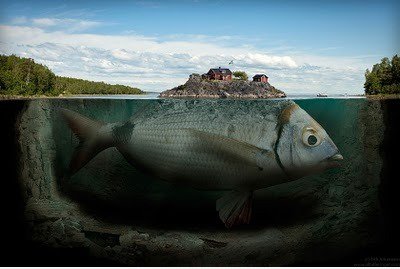 Bigfish