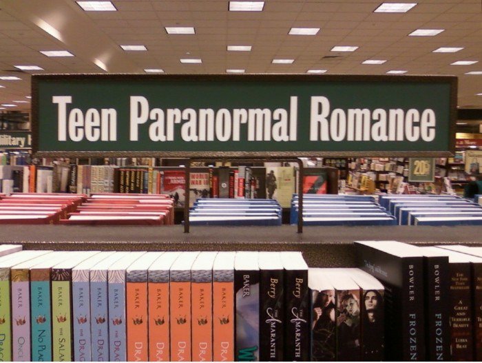 Sag hallo zu den neuesten für-real Buchabschnitt bei B & N