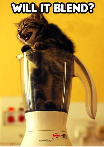 Lets nicht herausfinden ...