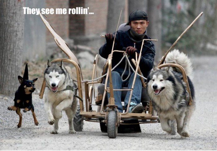 Dat ist, wie ich rolle!