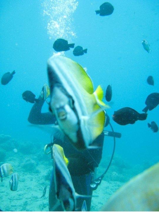 Fishy Photobomb!