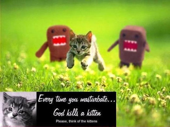 immer wenn du mastrubierts toetet gott eine katze