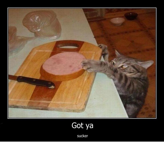 Got ya