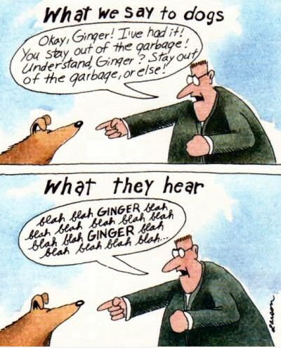 Was wir sagen, Hunde
