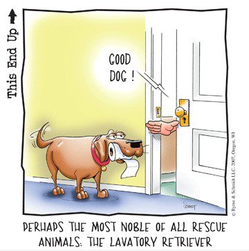 Lavatory Retriever