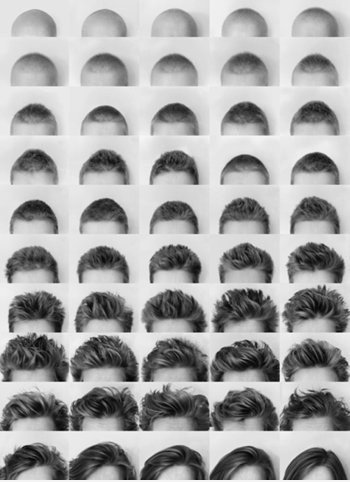 Haar Evolution.